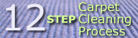 Learn more about the Gerlach Cleaning Systems 12 Step Carpet Cleaning Process Learn more about the Gerlach Cleaning Systems 12 Step Carpet Cleaning Process