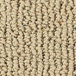 Gerlach Cleaning Systems Carpet Selection Guide 