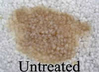 Carpet that has not been treated by the Gerlach Cleaning Systems Fiber and Fabric Protectent