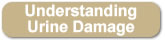 Click here to download Gerlach Cleaning Systems's "Understanding Urine Damage"